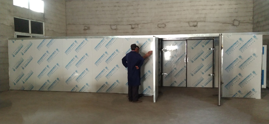 安徽定远迷迭香