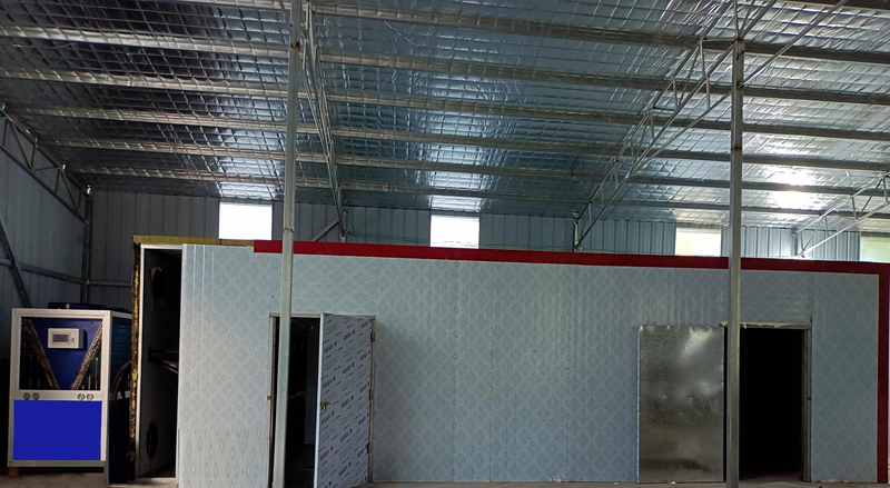 安徽阜阳太和洪山木材